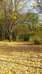Berlin Octobre 2015, Nordgraben_01