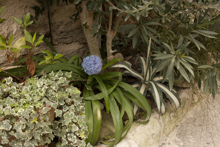 4ème weekend Oasis Provençale 12-13 décembre 2015 à Barbentane, 74074r