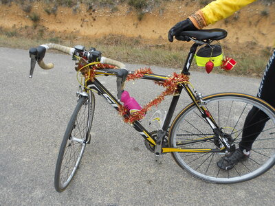 2015-12-19  Vélos de NOEL, velos de Noel 19 décembre 2015 008
