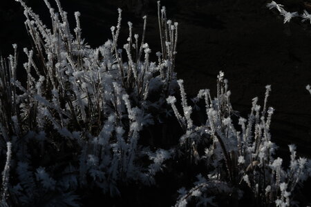 2015-12-24-26-tendre-capanna-mautino, alpes-aventure-randonnee-capanna-mautino-2015-12-25-09