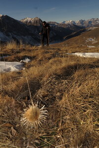 2015-12-24-26-tendre-capanna-mautino, alpes-aventure-randonnee-capanna-mautino-2015-12-26-04