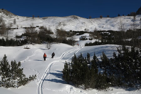 2016-01-15-18-powder-alert-voie-lactee, alpes-aventure-ski-cima-del-bosco-2016-01-16-021