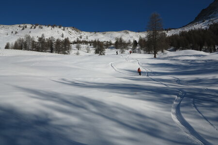 2016-01-15-18-powder-alert-voie-lactee, alpes-aventure-ski-cima-del-bosco-2016-01-16-027