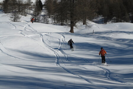 2016-01-15-18-powder-alert-voie-lactee, alpes-aventure-ski-cima-del-bosco-2016-01-16-028