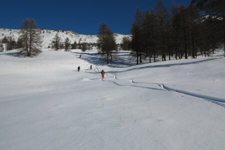 2016-01-15-18-powder-alert-voie-lactee, alpes-aventure-ski-cima-del-bosco-2016-01-16-041