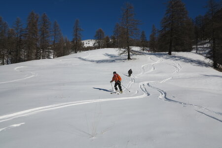 2016-01-15-18-powder-alert-voie-lactee, alpes-aventure-ski-cima-del-bosco-2016-01-16-049