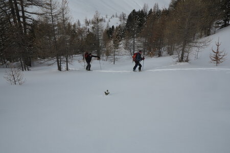 2016-01-15-18-powder-alert-voie-lactee, alpes-aventure-ski-montgenevre-acles-plampinet-2016-01-18-029
