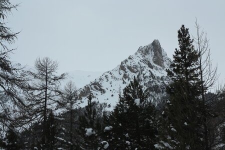 2016-01-15-18-powder-alert-voie-lactee, alpes-aventure-ski-montgenevre-acles-plampinet-2016-01-18-051