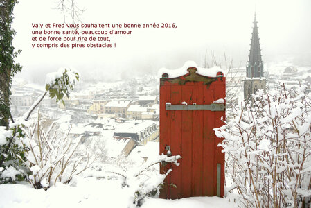 voeux, voeux 2016