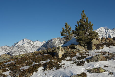 2016-01-23-28-ski-freerando, alpes-aventure-ski-freerando-voie-lactee-montgenevre-claviere-2016-01-24-124