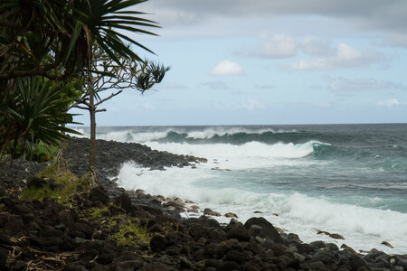 La Réunion, IMG_3147
