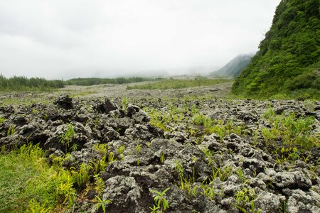 La Réunion, IMG_3215