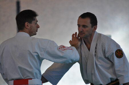 Nihon Tai Jitsu Stage Aire Février 2016, NTJ_Stage_Aire_Fevrier16-187