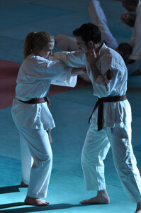 Nihon Tai Jitsu Stage Aire Février 2016, NTJ_Stage_Aire_Fevrier16-180