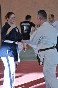 Nihon Tai Jitsu Stage Aire Février 2016, NTJ_Stage_Aire_Fevrier16-280