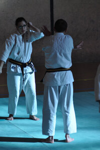 Nihon Tai Jitsu Stage Aire Février 2016, NTJ_Stage_Aire_Fevrier16-171