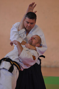 Nihon Tai Jitsu Stage Aire Février 2016, NTJ_Stage_Aire_Fevrier16-149