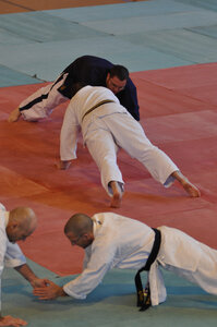 Nihon Tai Jitsu Stage Aire Février 2016, NTJ_Stage_Aire_Fevrier16-30