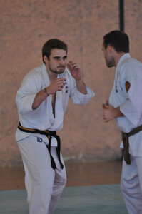 Nihon Tai Jitsu Stage Aire Février 2016, NTJ_Stage_Aire_Fevrier16-275