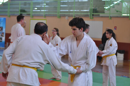 Nihon Tai Jitsu Stage Aire Février 2016, NTJ_Stage_Aire_Fevrier16-195