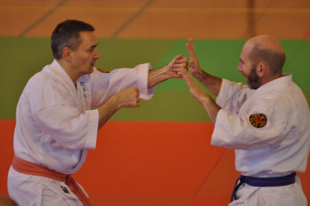 Nihon Tai Jitsu Stage Aire Février 2016, NTJ_Stage_Aire_Fevrier16-41