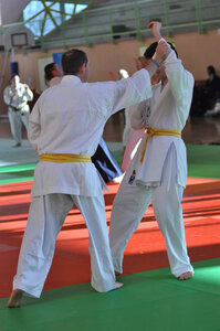 Nihon Tai Jitsu Stage Aire Février 2016, NTJ_Stage_Aire_Fevrier16-264