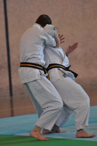 Nihon Tai Jitsu Stage Aire Février 2016, NTJ_Stage_Aire_Fevrier16-159