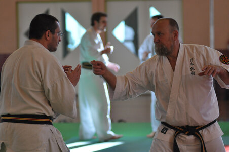 Nihon Tai Jitsu Stage Aire Février 2016, NTJ_Stage_Aire_Fevrier16-248