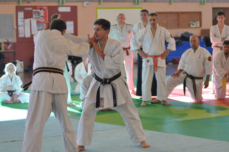 Nihon Tai Jitsu Stage Aire Février 2016, NTJ_Stage_Aire_Fevrier16-245
