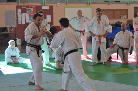 Nihon Tai Jitsu Stage Aire Février 2016, NTJ_Stage_Aire_Fevrier16-244