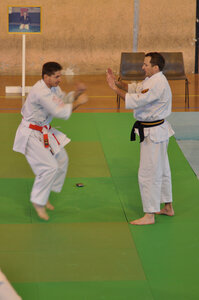Nihon Tai Jitsu Stage Aire Février 2016, NTJ_Stage_Aire_Fevrier16-33