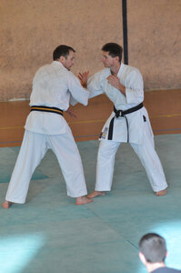 Nihon Tai Jitsu Stage Aire Février 2016, NTJ_Stage_Aire_Fevrier16-307