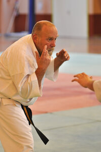 Nihon Tai Jitsu Stage Aire Février 2016, NTJ_Stage_Aire_Fevrier16-327