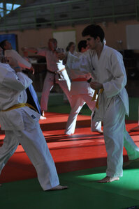 Nihon Tai Jitsu Stage Aire Février 2016, NTJ_Stage_Aire_Fevrier16-263