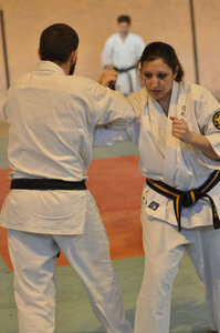 Nihon Tai Jitsu Stage Aire Février 2016, NTJ_Stage_Aire_Fevrier16-357