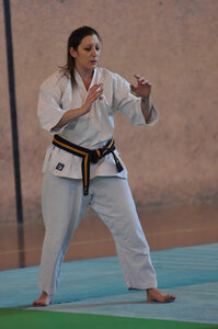 Nihon Tai Jitsu Stage Aire Février 2016, NTJ_Stage_Aire_Fevrier16-158