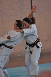 Nihon Tai Jitsu Stage Aire Février 2016, NTJ_Stage_Aire_Fevrier16-160