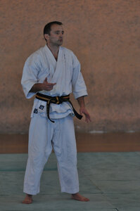 Nihon Tai Jitsu Stage Aire Février 2016, NTJ_Stage_Aire_Fevrier16-228