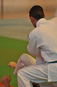Nihon Tai Jitsu Stage Aire Février 2016, NTJ_Stage_Aire_Fevrier16-350