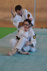Nihon Tai Jitsu Stage Aire Février 2016, NTJ_Stage_Aire_Fevrier16-136