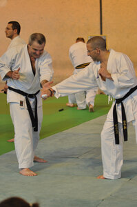 Nihon Tai Jitsu Stage Aire Février 2016, NTJ_Stage_Aire_Fevrier16-311