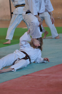 Nihon Tai Jitsu Stage Aire Février 2016, NTJ_Stage_Aire_Fevrier16-148