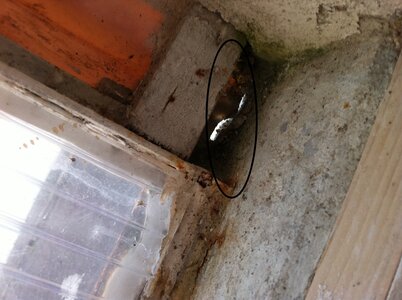 maison 1 rue du Monténégro, 85000 La Roche sur Yon, d?tail entr?e eau verranda cot? 1 
