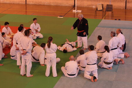 Nihon Tai Jitsu Stage Aire Février 2016, NTJ_Stage_Aire_Fevrier-RL  19 