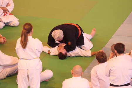 Nihon Tai Jitsu Stage Aire Février 2016, NTJ_Stage_Aire_Fevrier-RL  30 