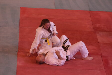 Nihon Tai Jitsu Stage Aire Février 2016, NTJ_Stage_Aire_Fevrier-RL  68 