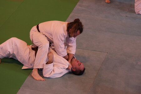 Nihon Tai Jitsu Stage Aire Février 2016, NTJ_Stage_Aire_Fevrier-RL  80 