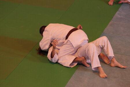 Nihon Tai Jitsu Stage Aire Février 2016, NTJ_Stage_Aire_Fevrier-RL  90 