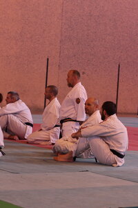 Nihon Tai Jitsu Stage Aire Février 2016, NTJ_Stage_Aire_Fevrier-RL  122 