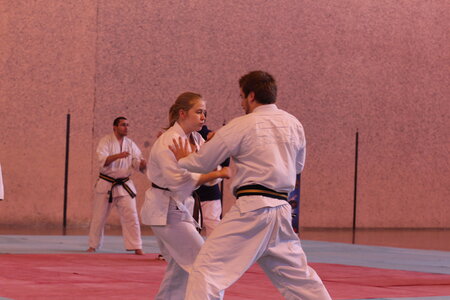 Nihon Tai Jitsu Stage Aire Février 2016, NTJ_Stage_Aire_Fevrier-RL  137 